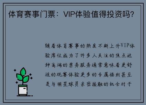 体育赛事门票：VIP体验值得投资吗？